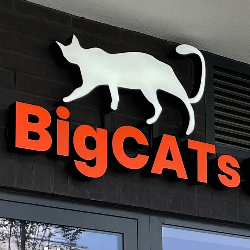 Logo 3D podświetlane dlla Sklepu dla kota i psa BigCATs Studio EFEKT