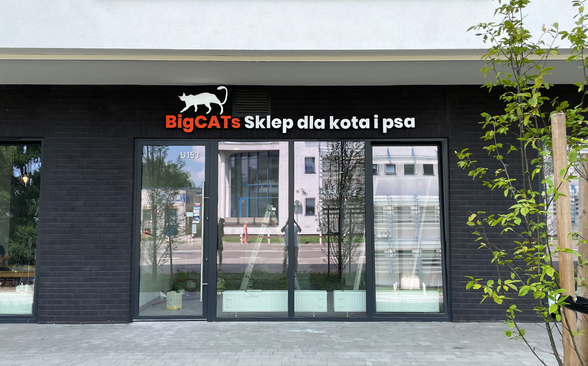 Litery 3D podświetlane led dla BigCATs od Reklama EFEKT