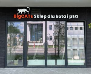 Logo i litery 3D podświetlane LED BigCATs w Warszawie od Studio EFEKT